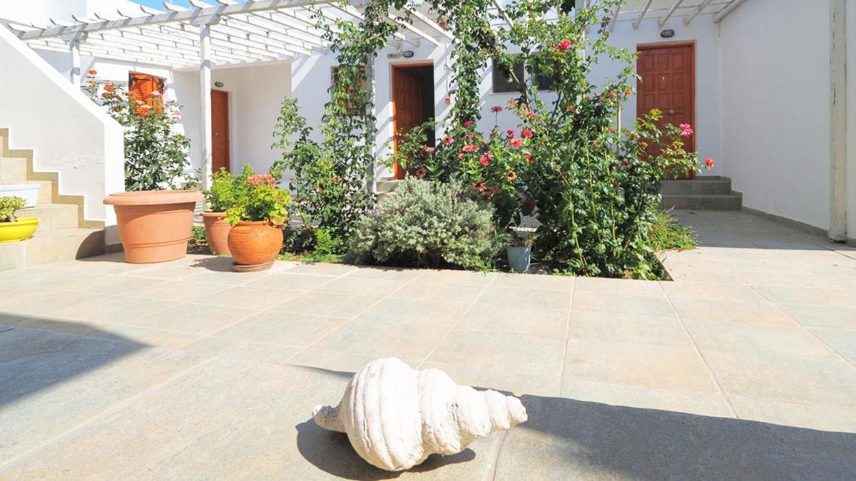 Ενοικιαζόμενα Διαμερίσματα Άρτεμις Skyros Exterior foto
